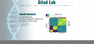 Gilad Lab