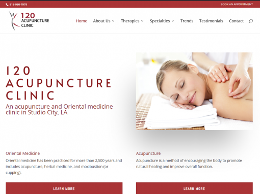 Acupuncture Website